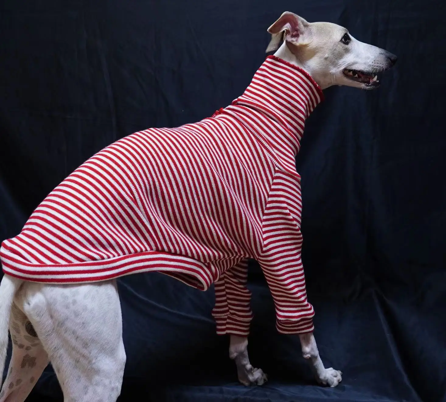 Italian Greyhound Winter Red Striped Sweater Christmas New Year Whippet Turtleneck Soft Acrylic