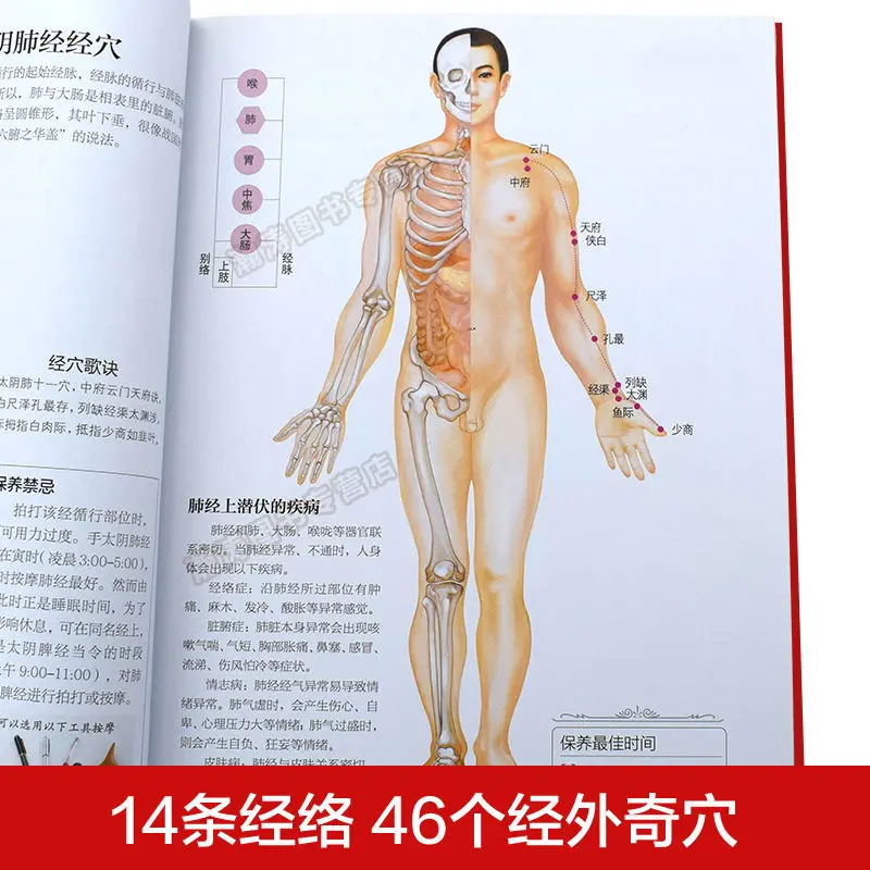 Meridian Acupoint Essence Atlas Wu Zhongchao Human Meridian Acupuncture Point Map Whole Body Traditional Chinese Medicine Health