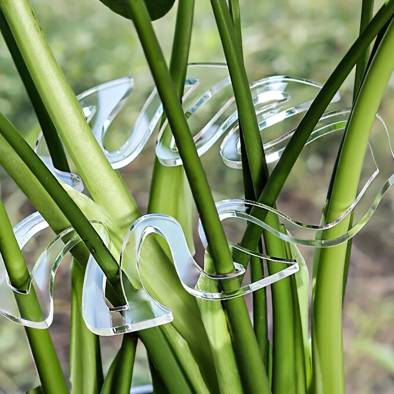 إطار دعم نباتي شديد التحمل - مشابك قابلة للطي شديدة التحمل للسيقان والأوتاد - الحديقة، وترتيبات الزهور، والنباتات الداخلية/الخارجية