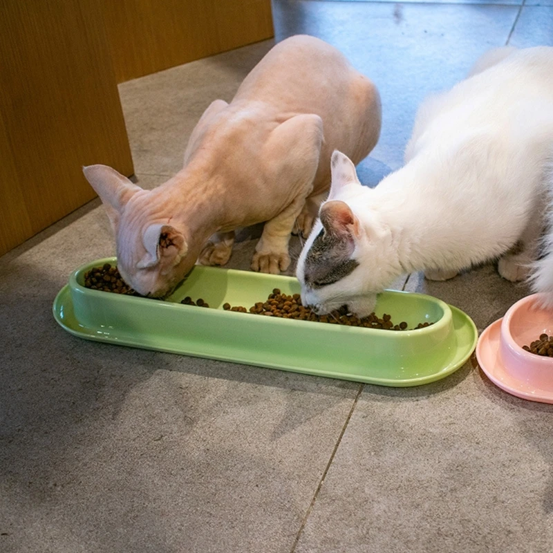 Cat Food Water Bowls 15° Tilted Single Dish 13.6\