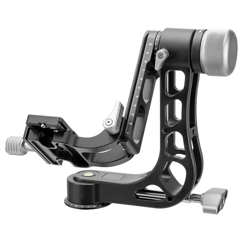 Professional Panora…