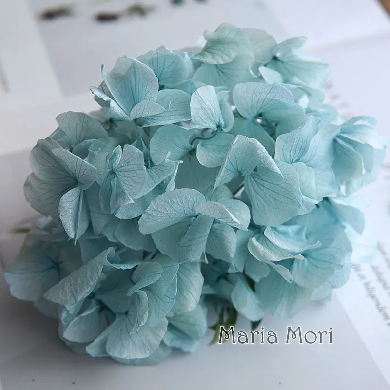 Grote Bloemblaadjes Macrophylla Hortensia Geconserveerde Bloem DIY Oorbellen en Geurkaarsen Materiaal Voor Gutta Percha Hars Home Decor