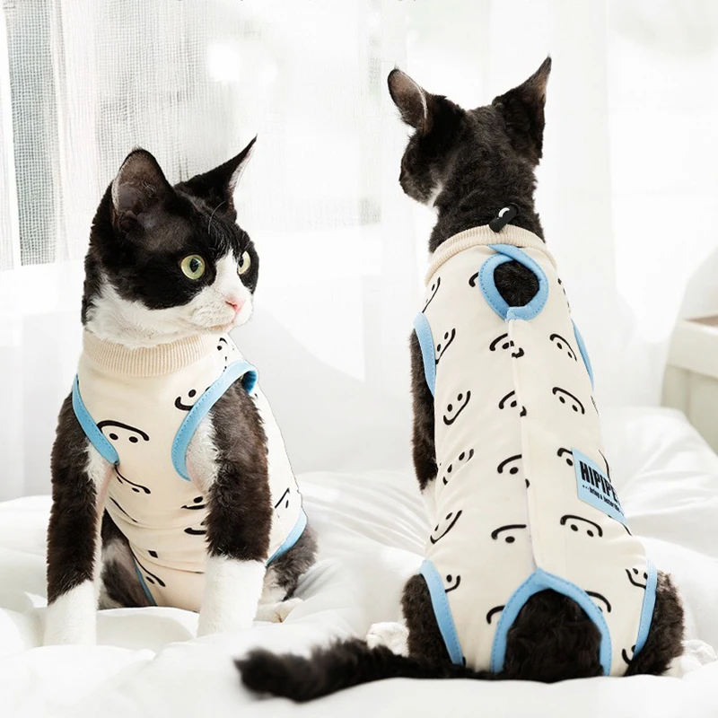 Four Seasons Cat Sp… - image