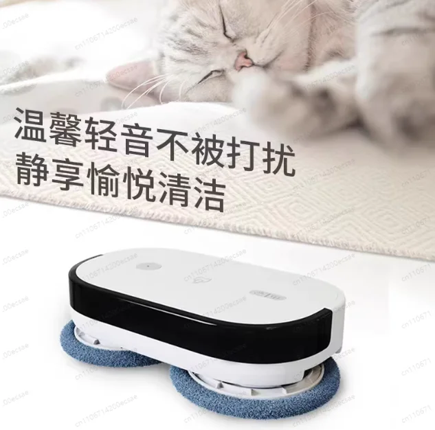 Self Cleaning Dual Mop Mopping Robot Tool