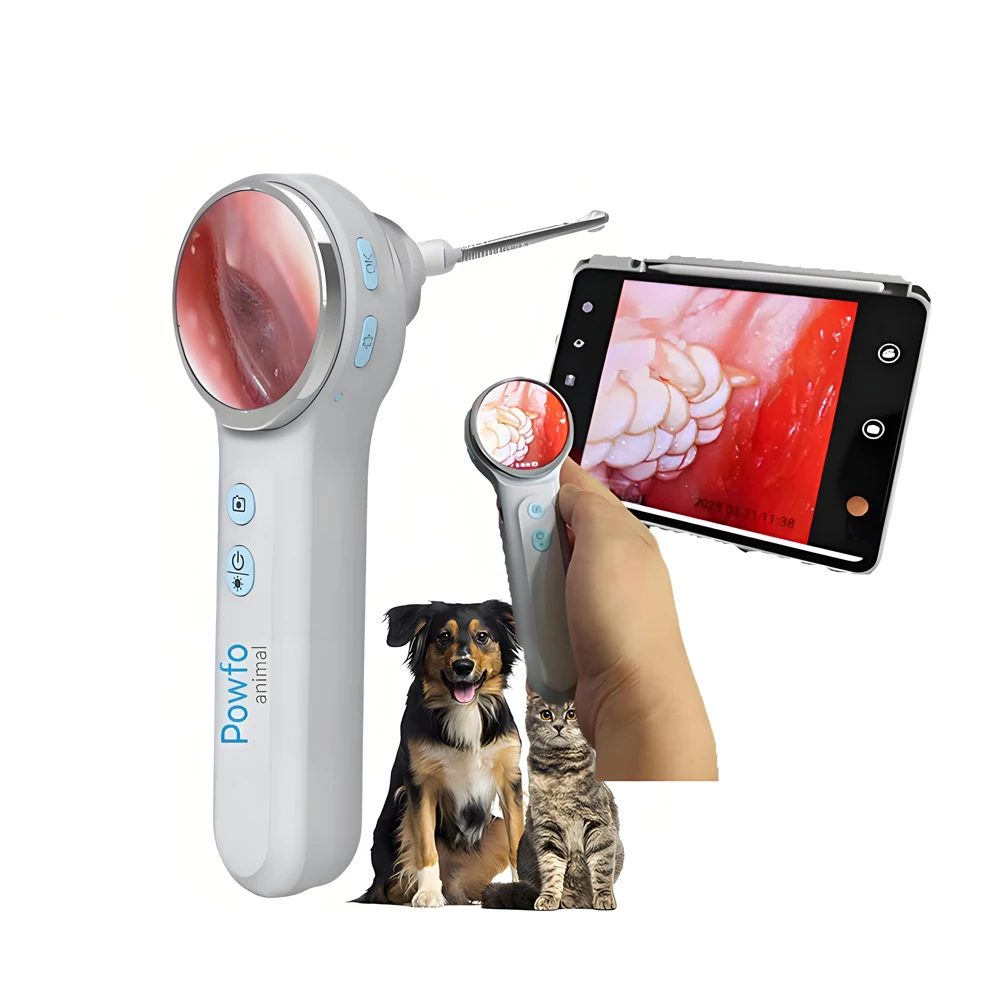 Hot Selling POE-100 Veterinary Otoscope HD 1 Million Pixel Ear Canal Examination Instrument for Dog Small Endoscope Brand New