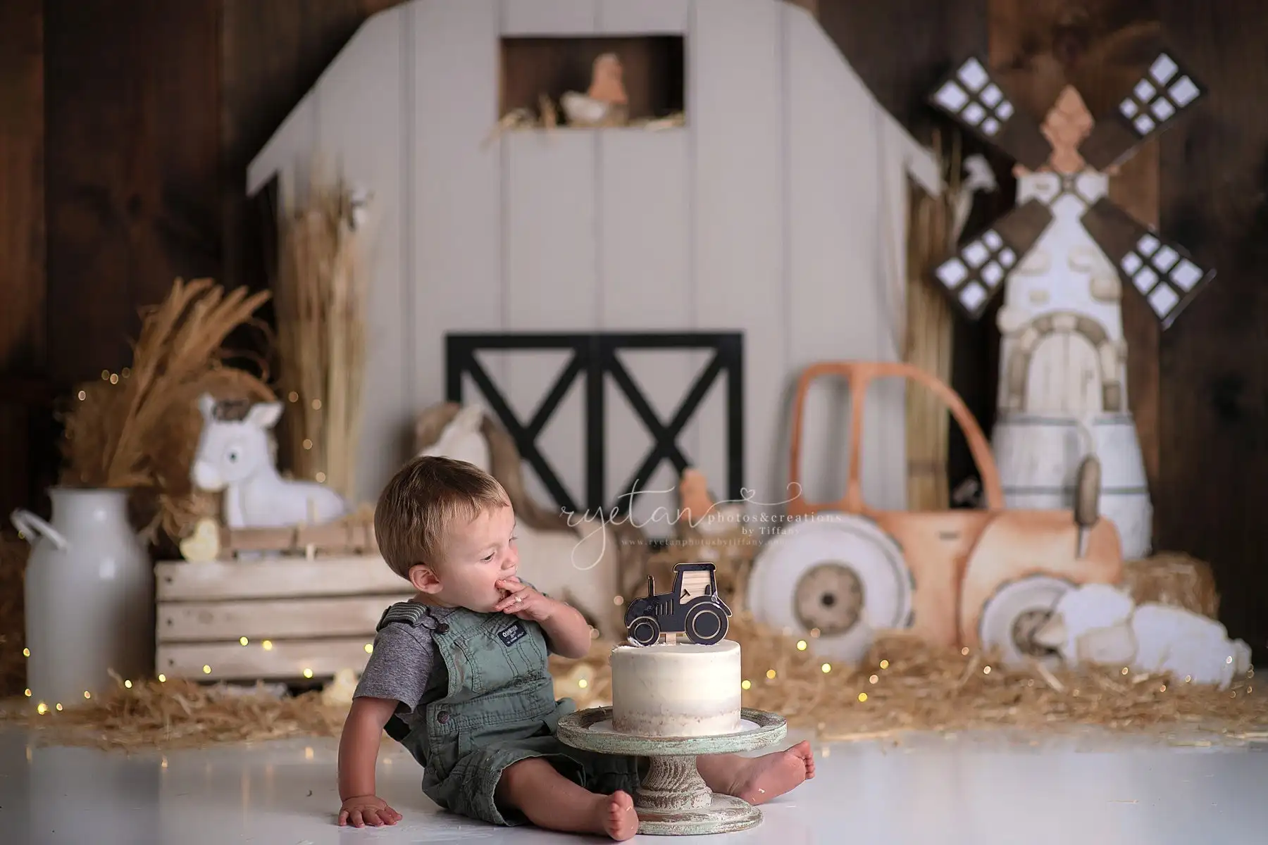 White Barn Farm Days Backdrops Kids Baby Cake Smash Birthday Photgraphy Child Adult Photocall Wooden House Background