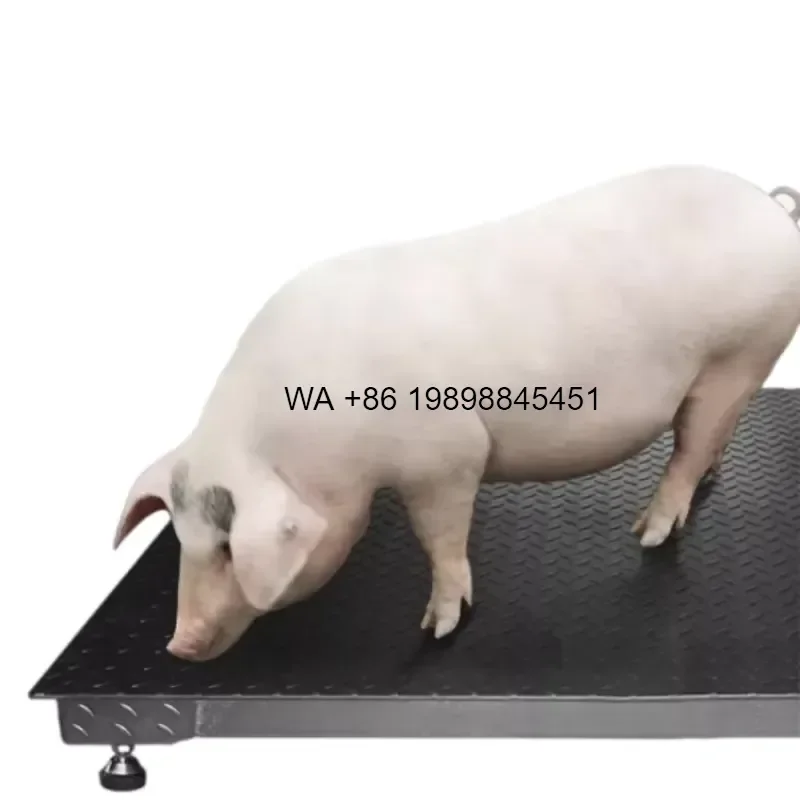 Wmwmnu for Carbon Steel Industrial Floor Weight Scale Portable Digital Livestock Scale with LED Display