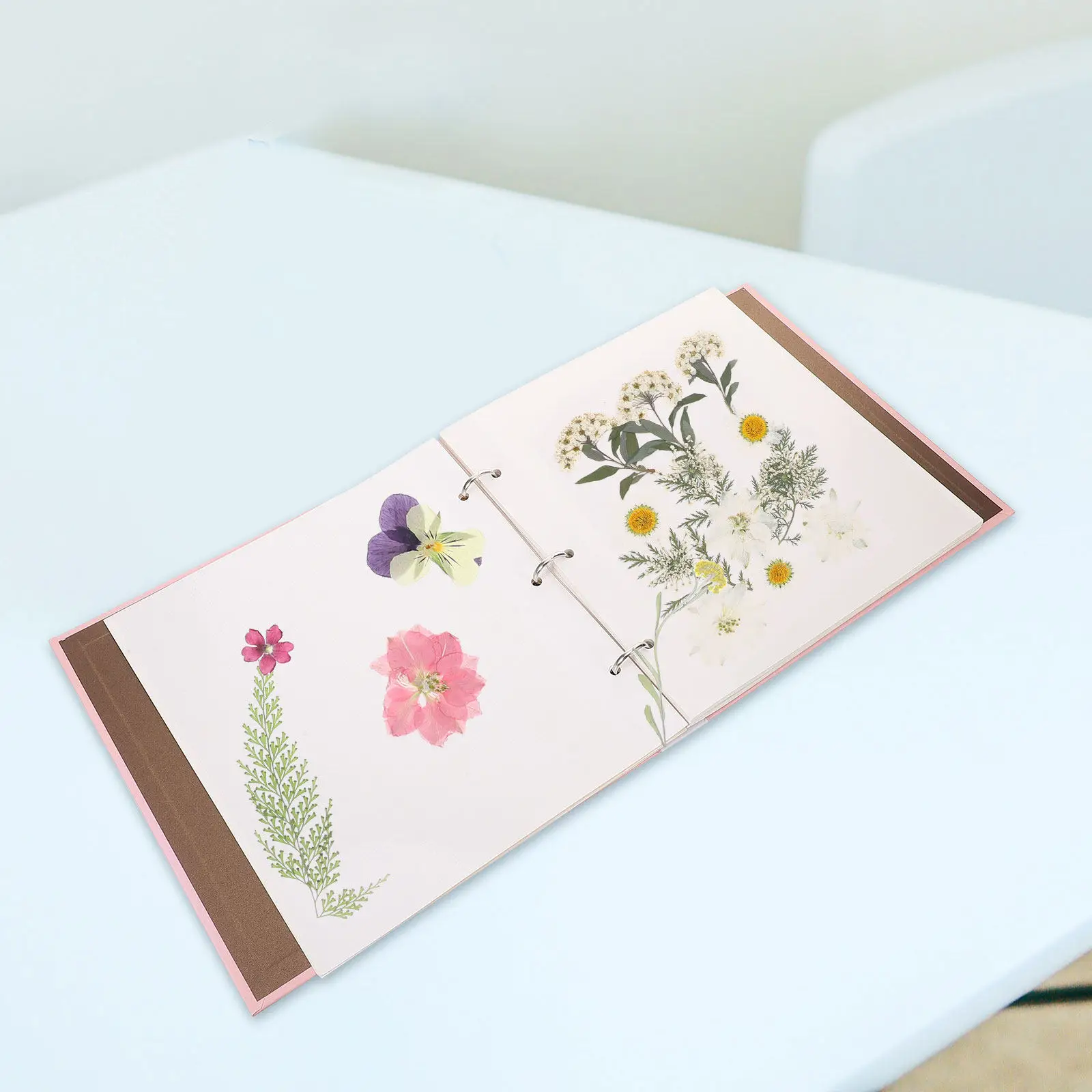 

Flower Press Book Multifunctional Dried Flower Storage Album Loose Leaf Plant Specimen Holder Easy Remove Scrapbook for Home