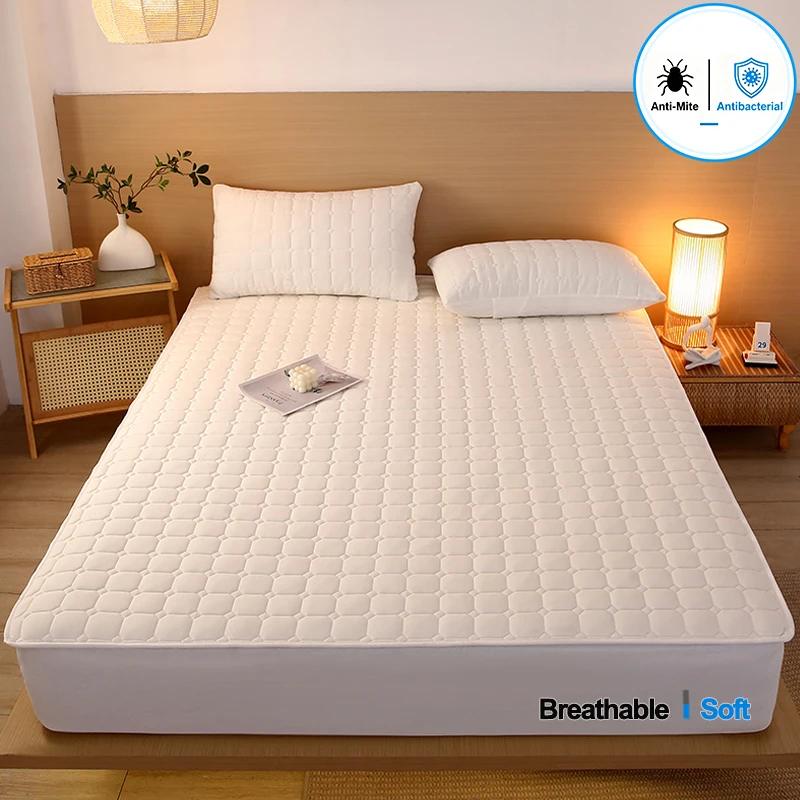 All-Season Yarn-Dyed Washed Cotton Mattress Cover, Anti-Mite Antibacterial Breathable Mattress Protector,Durable Fitted Sheet