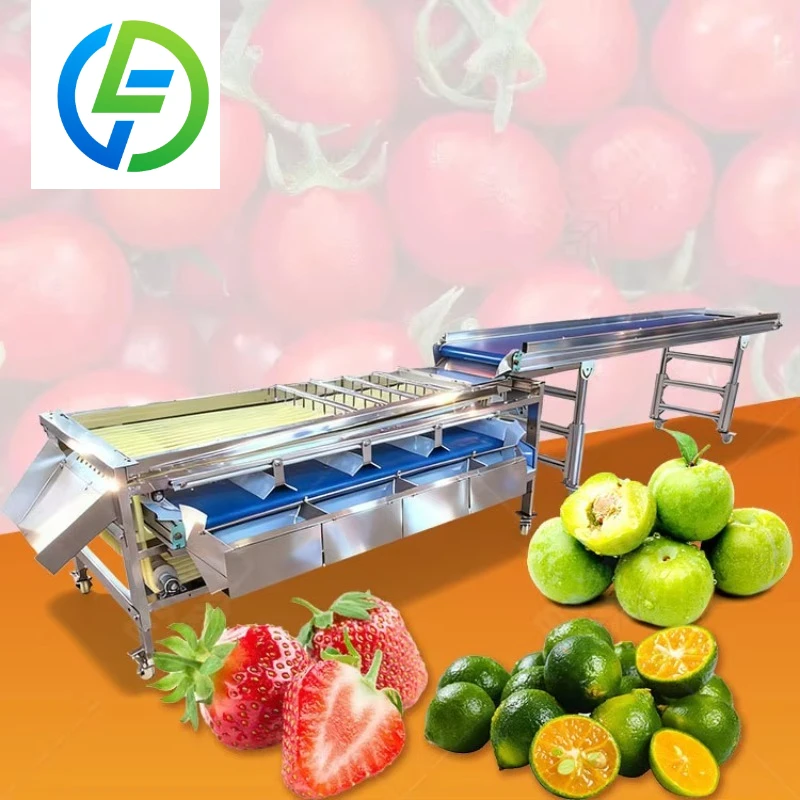 Customized Automatic Cherry Tomato Melon Fruit Apple Size Sorter Passion Fruit Washer and Grade Machine Price