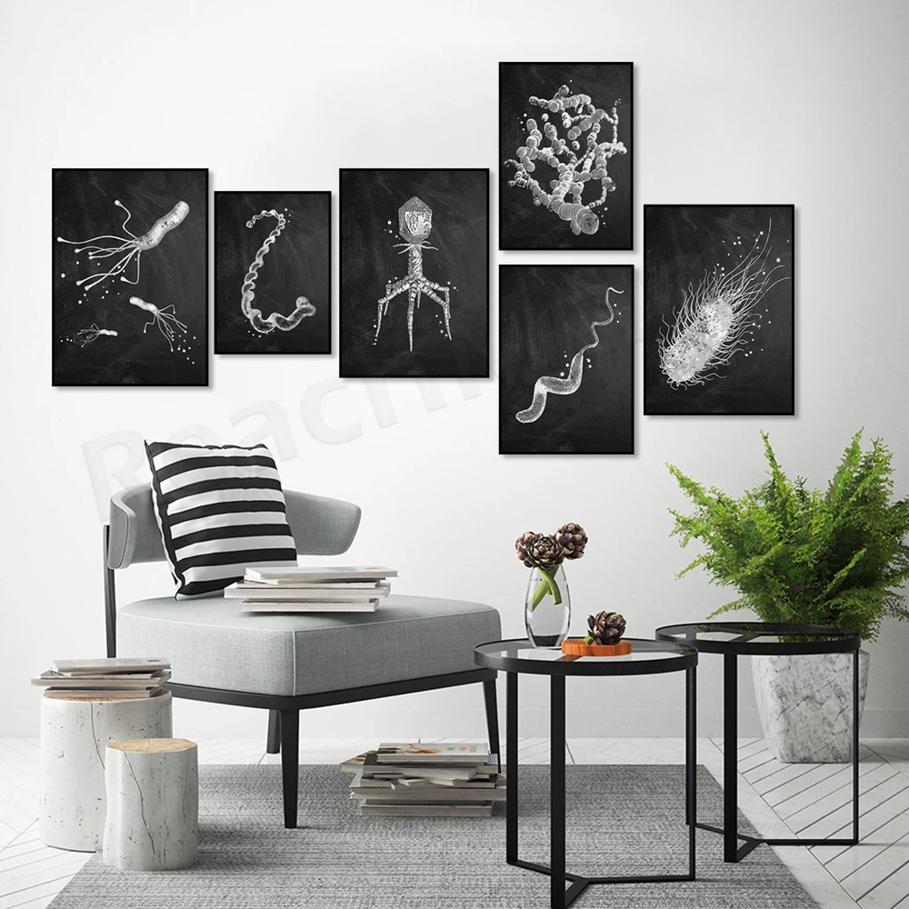 Affiche sur les types de bacté - Medical Lab Posters avis et prix