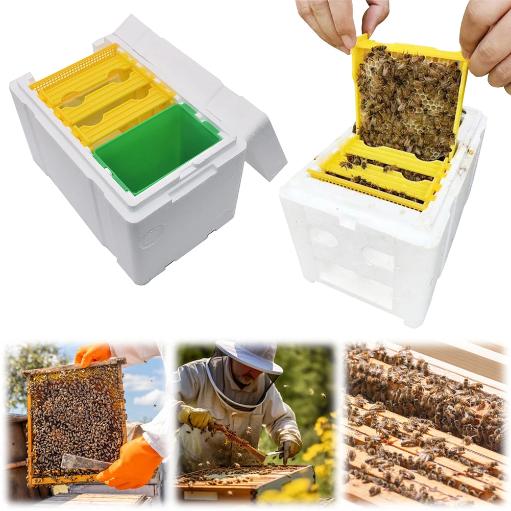

Foam Bee Box Versatile Beekeeper Case Bee Pollination Box Queen Bee Rearing Beehive for Bee Mating Rearing