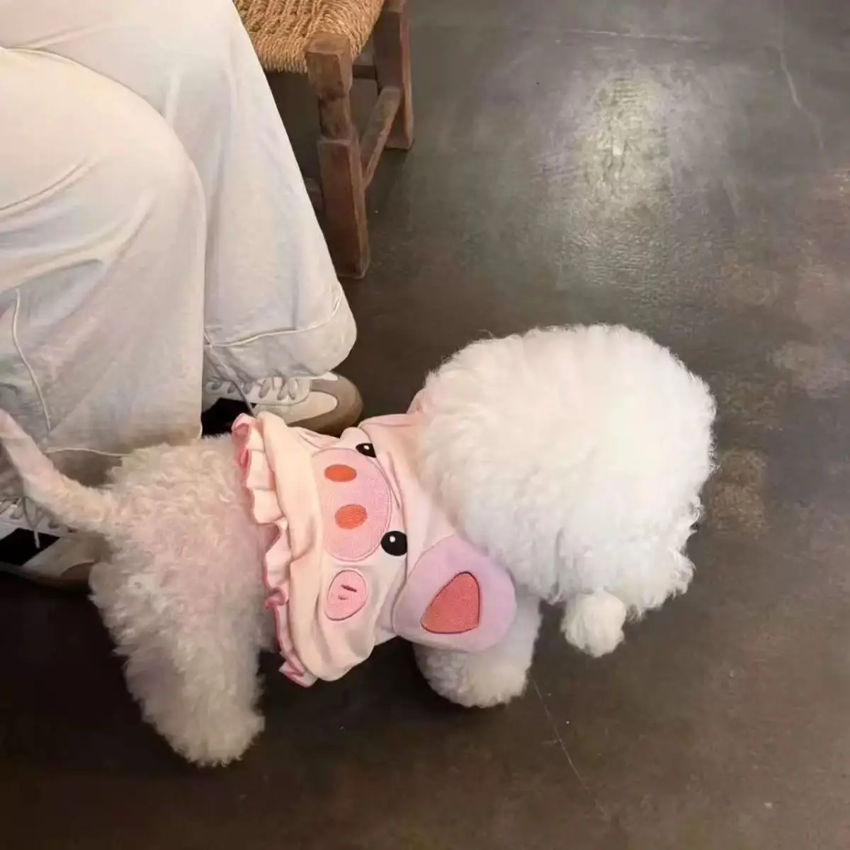 Spring Summer Autumn Cute Animal Clothes For Kittens Thin Small Dog Pet Clothes Cat Vest Anti-Shedding Costume - view 2