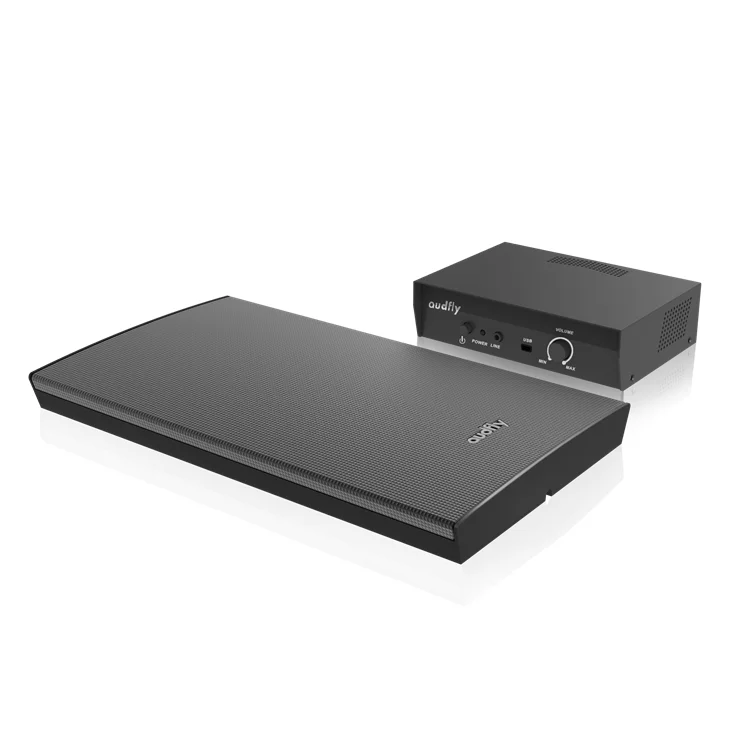High-precision Audio Delivery Wall Mounted Customizable Sound Zones Long Range Directional Speaker for Museum