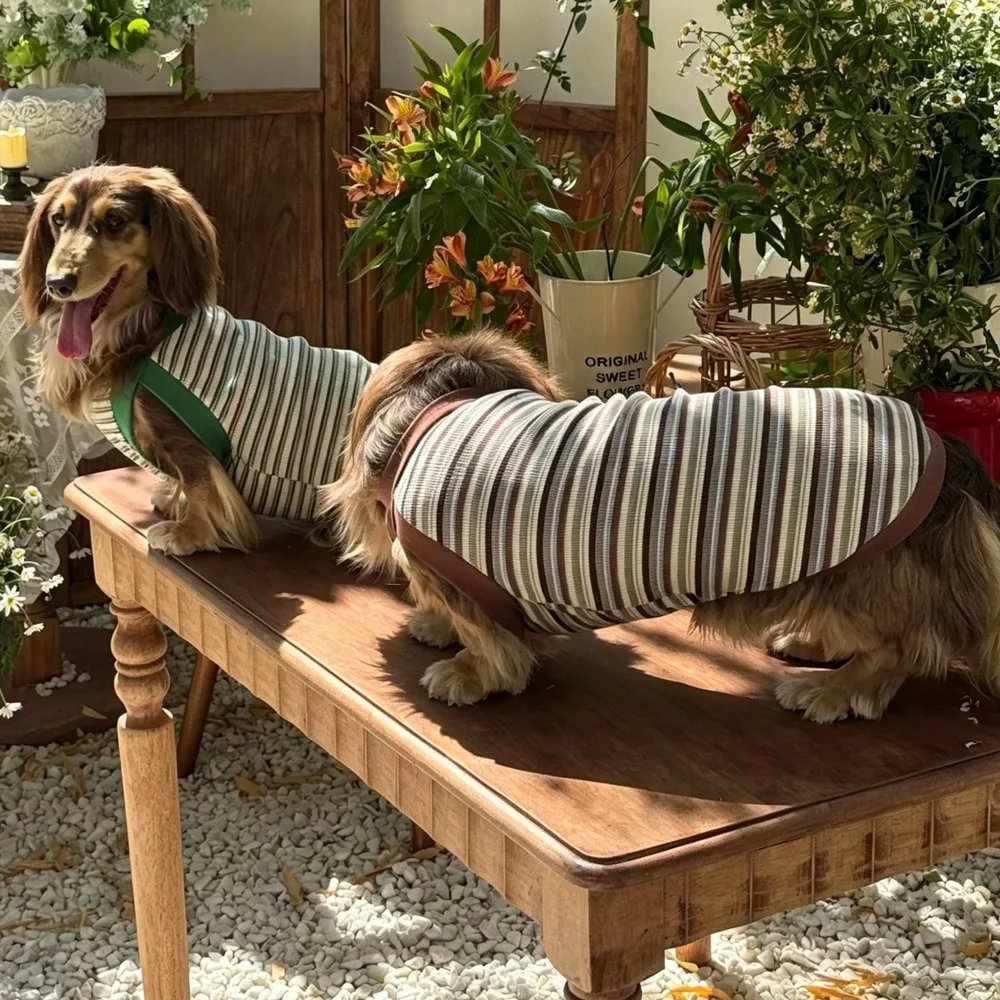 Camiseta de rayas para perro Salchicha, manga corta de primavera
