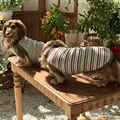 1pc Brown