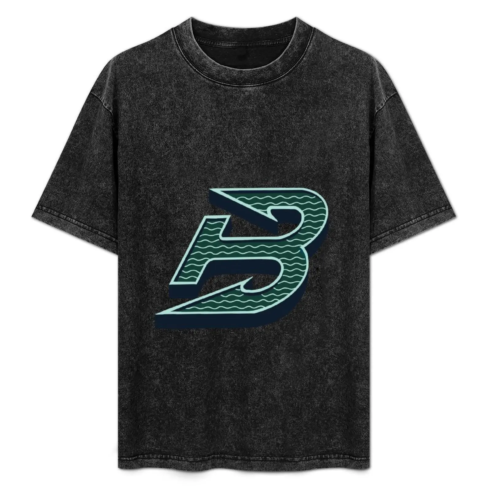 

Boston Fleet PWHL logo with green background T-Shirt vintage graphic tee t shirts for men cotton