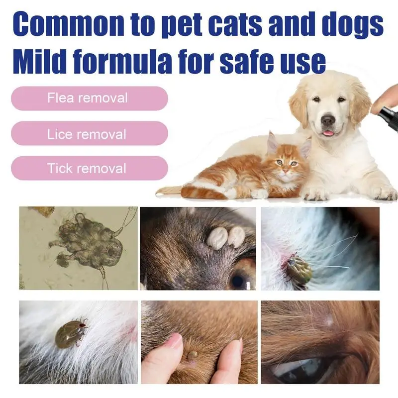 Pet Dog Cat Anti Flea Drops 100ml Insectcide Flea Lice Insect Safe for Home and Cats Dogs Prevent Ticks