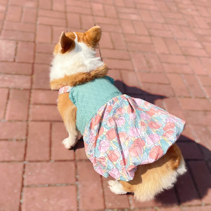 Vestido de verano para perro Corgi galés, ropa para mascotas, Poodle, Corgi, Border, Collie, samoyedo, Husky, Labrador, Golden Retriever, ropa para perros grandes, 9XL