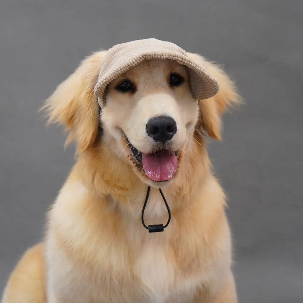 Pet Baseball Cap Solid Color Breathable Visor Hat Outdoor Sun Bonnet Cap with Ear Holes Dress Up Sports Pet Sunhat Dog Visor Cap