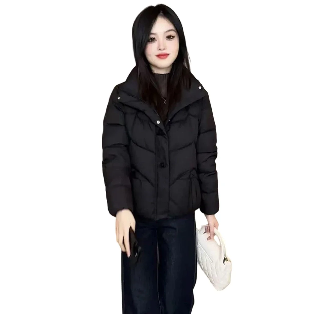 Short Cotton Coat Down Parka 95 Polyester 5 Spandex Brand New Down Cotton Filling Long Sleeve Padded Insulation