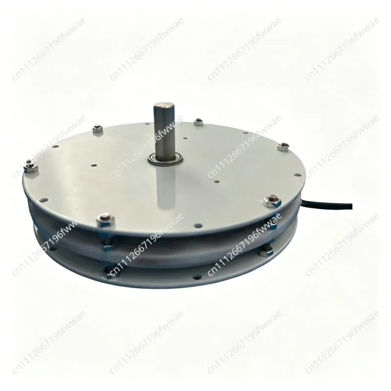 100w Mini Disc Generator Coreless Generator Permanent Magnet Brushless Motor High Efficiency Double Rotor