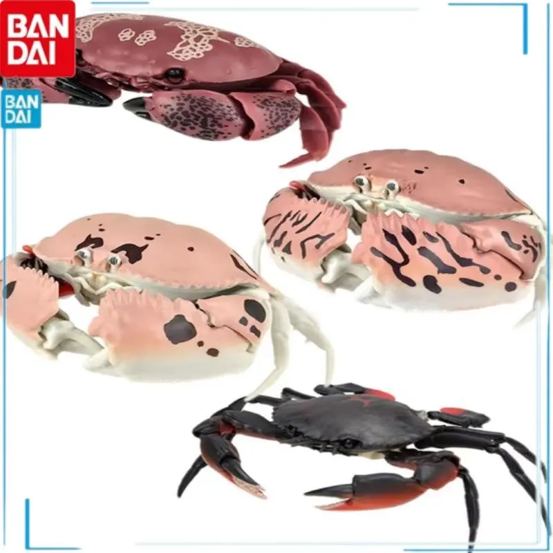 

Bandai Gashapon Simulation Animal Black Blue Crab Atergatis Floridus Calappa Lophos Calappa Philargius Model Kids Toys