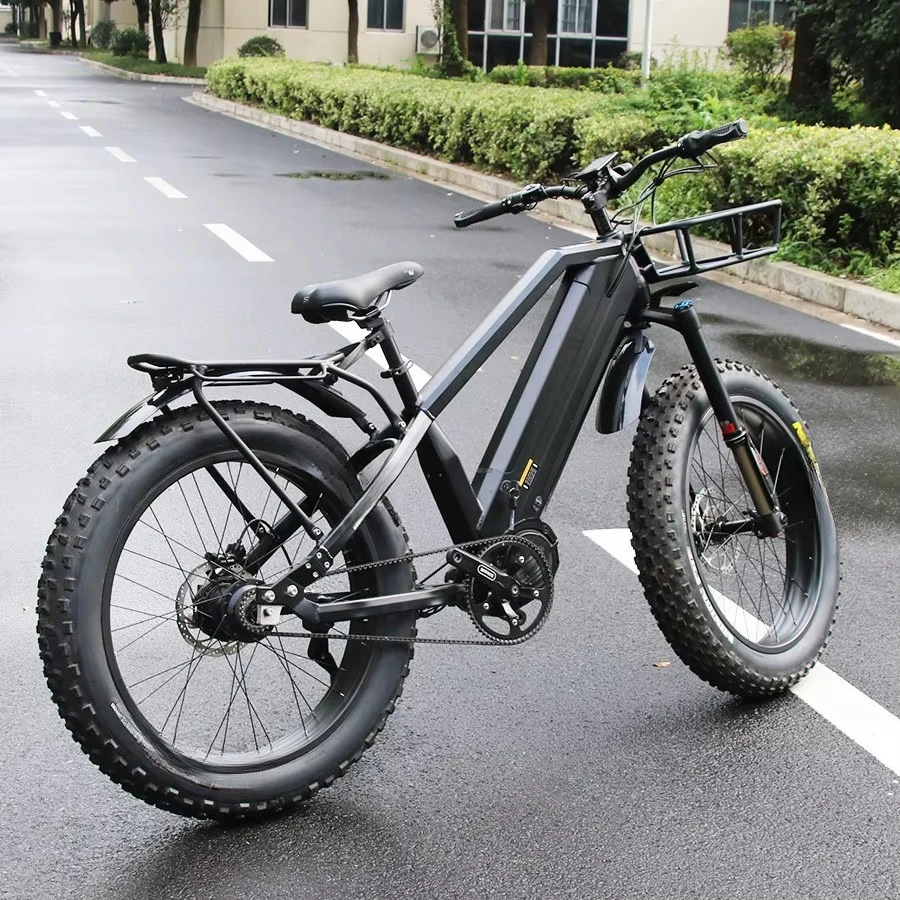14 Speed Electric Mountain Bike Snow Bicycle 1000W Bafang M620 Mid Motor Ebike Dual 15Ah Battery Electric Bicycle image 5
