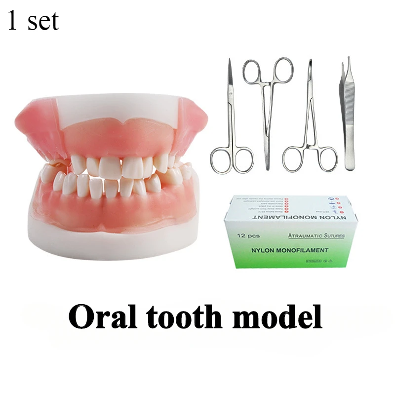 

Oral Suture Model with Needle Thread Equipment for Dentures Removable Medical Teaching Examination Teeth Whitening Beauty Health