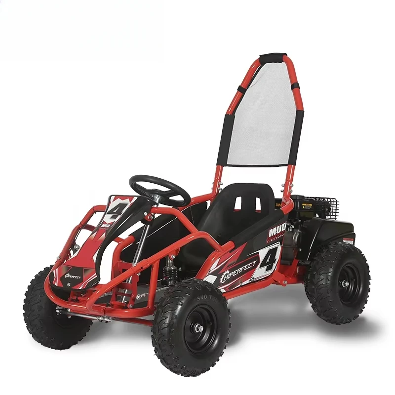

Amusement Park Racing Adult Petrol Pedals Go Kart in 2021