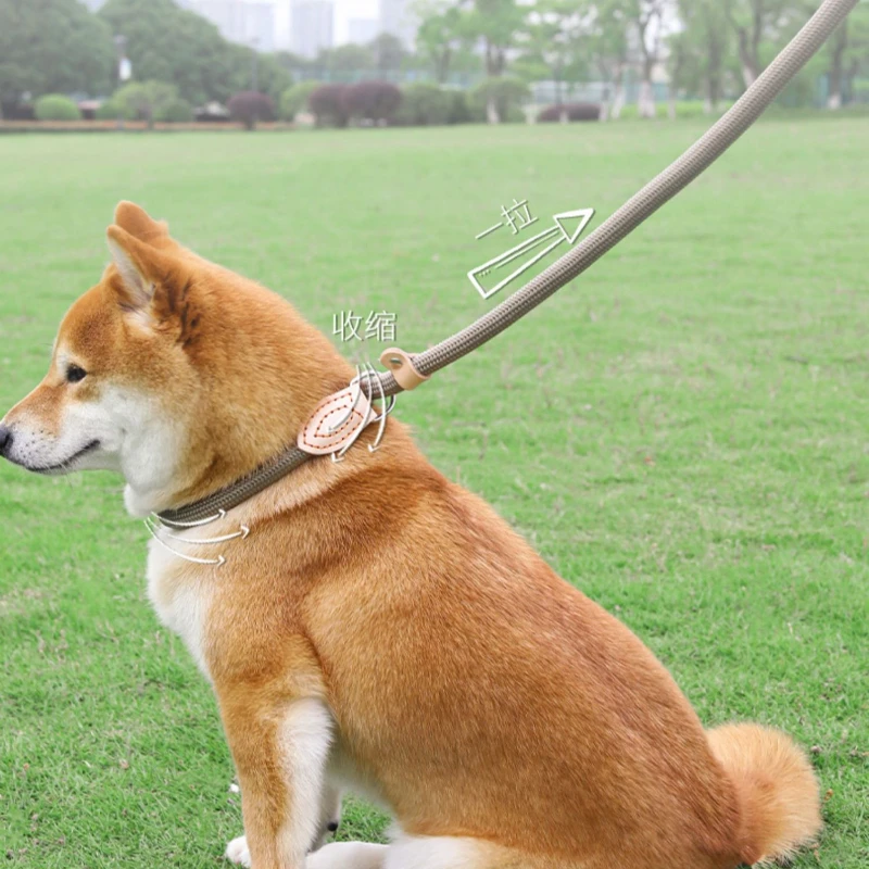 

Dog leash blast-proof P-chain walking leash