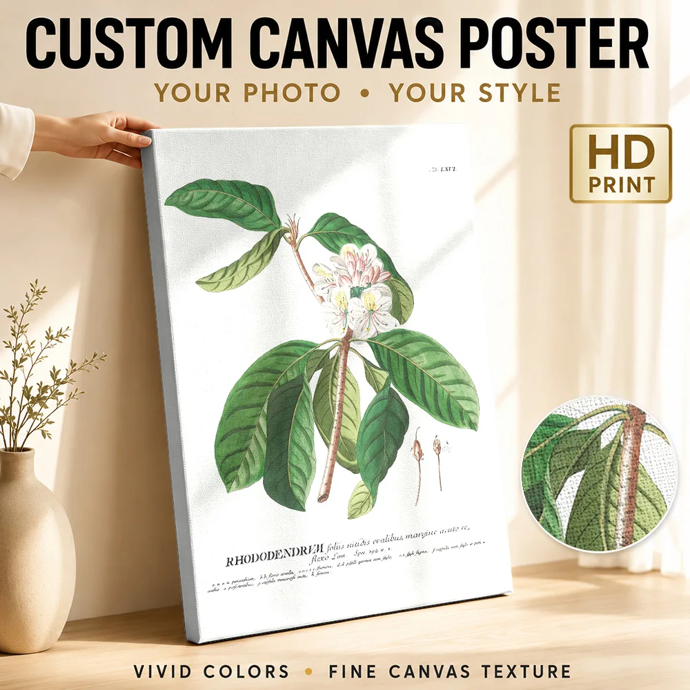 Rhododendron Botanical Framed Canvas Poster Personalized Photo Illustrated Wall Art For Quiet Sitting Room, Plant Lover Gift