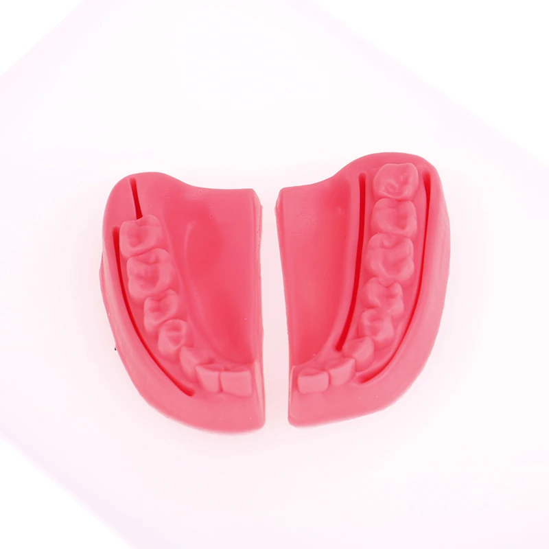 4-teiliges Dental-Simulationsmodell für Mundnaht, Zahnfleisch-Naht-Trainingsausrüstung – Detail 12