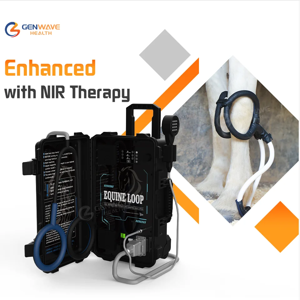 Upgrade With 635&785nm Laser PMST LOOP PEMF Animal Electromagnetic Therapy Machine Pemf Loop 2.5T Enhanced Horse Recovery