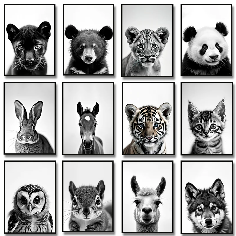 Lion Cub Koala Fox Rabbit Wolf Owl Panda Meerkat Cat Portrait Poster  Canvas Painting Print Black and White Room Home Decoration