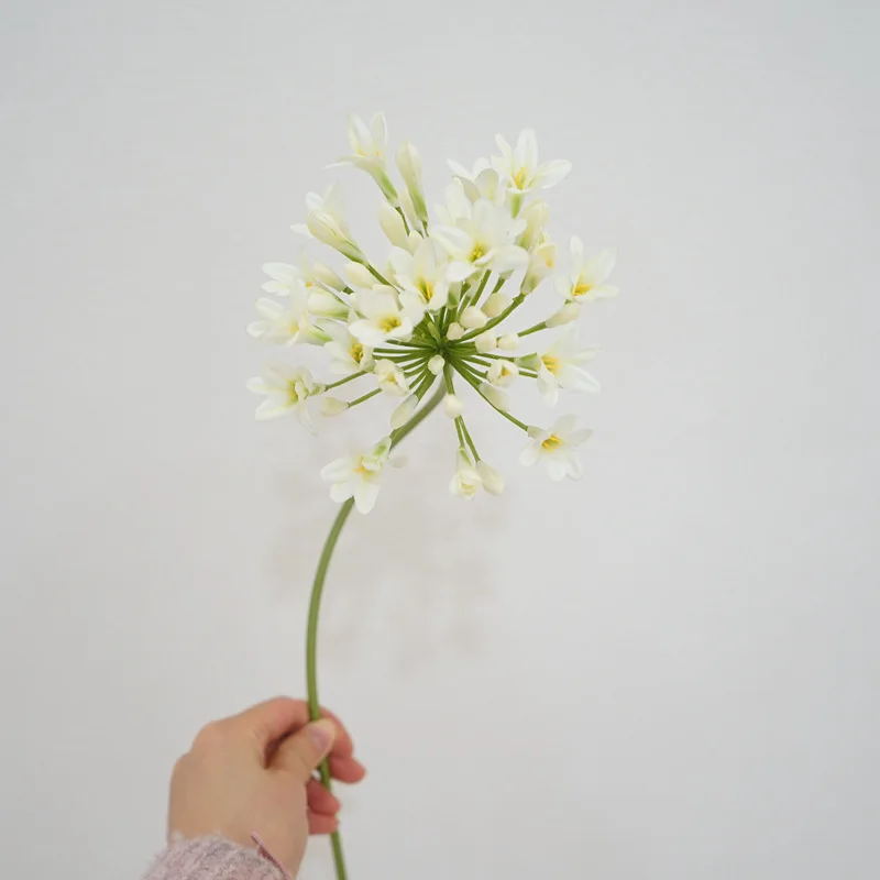 75 سنتيمتر Agapanthus الأفريقي الزهور الاصطناعية الفاخرة الطفل التنفس طويل الجذعية الزفاف المنزل الجدول غرفة ديكور الحفلات زهرة الفوشيه #3