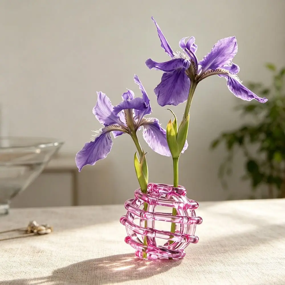 Transparent Glass Ball Vase Minimalist Unique Hydroponic Flower Vase Zen-Inspired Design Desktop Decoration Vase Tea Ceremony