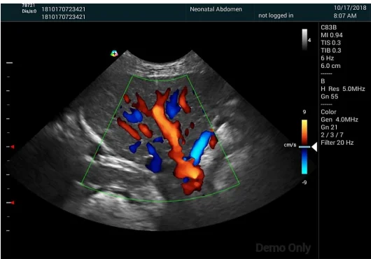 Small Animal Color Doppler Ultrasound Professional Fast Scan Veterinary Linear Array