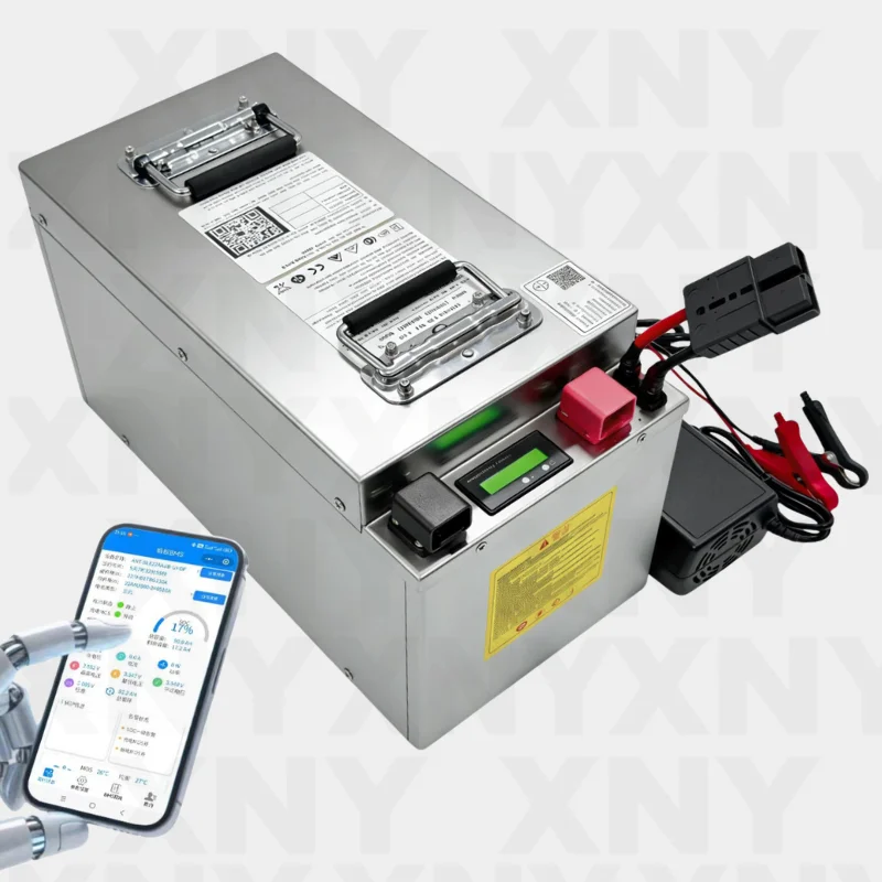 XNY-13S 14S 48V 100ah 80Ah Lithium ion battery with BMS air feed swith for Solar system RV UPS