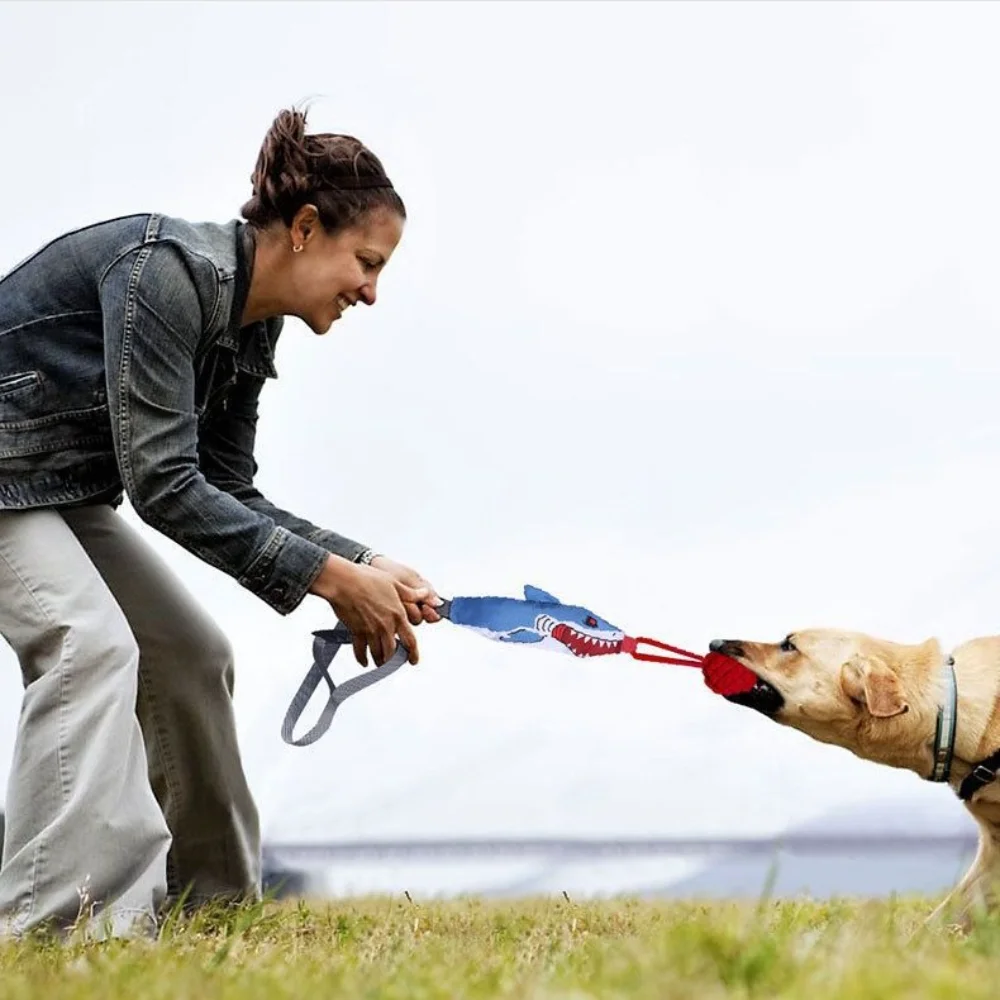 Mainan Tarik Tali Berbentuk Hi - Suction Cup Dog Tug Toy ulasan dan harga