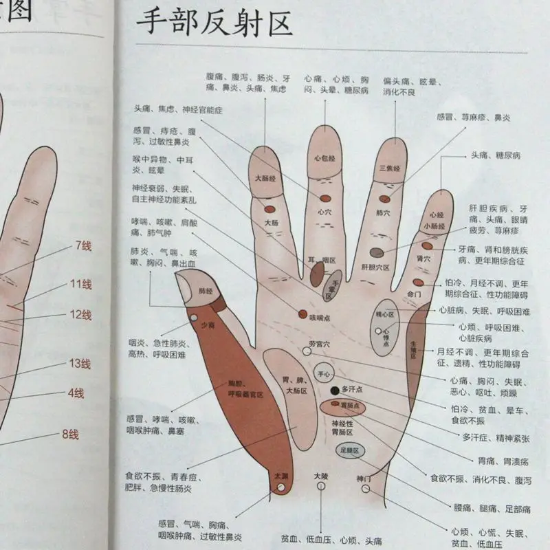 Learn Some Tips For Face-To-Face Diagnosis And Manual Diagnosis Every Day. Genuine Edition, Complete With Illustrations, Beginne