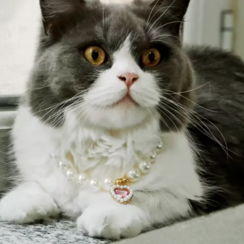 Verstellbare Haustier-Perlenkette für Katzen und Hunde, modisches Strass-Katzenhalsband, Kätzchen-Zubehör
