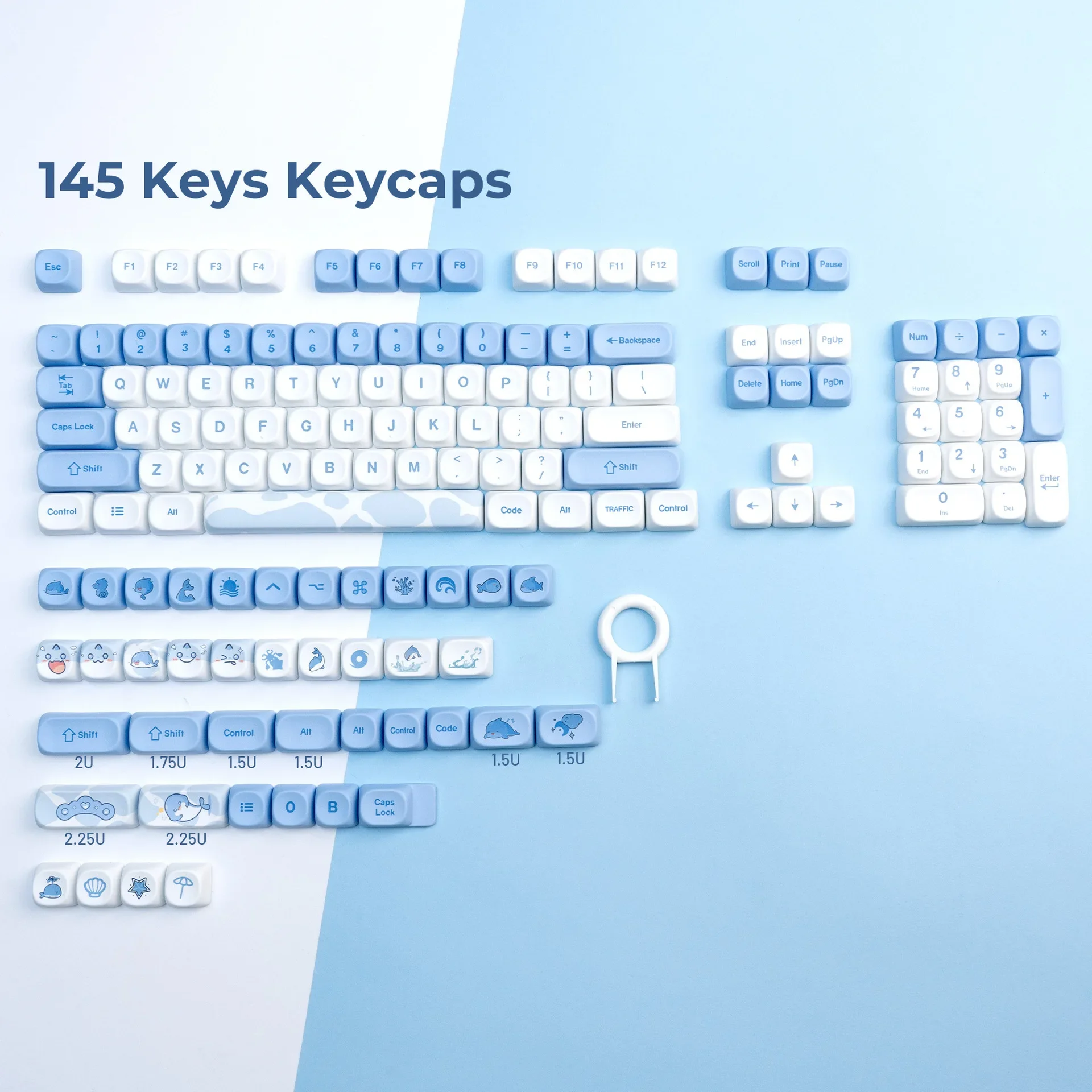 

MOA High PBT Sublimation Personality White and Blue Color Matching Personality Keycap 145 Keys AliExpress