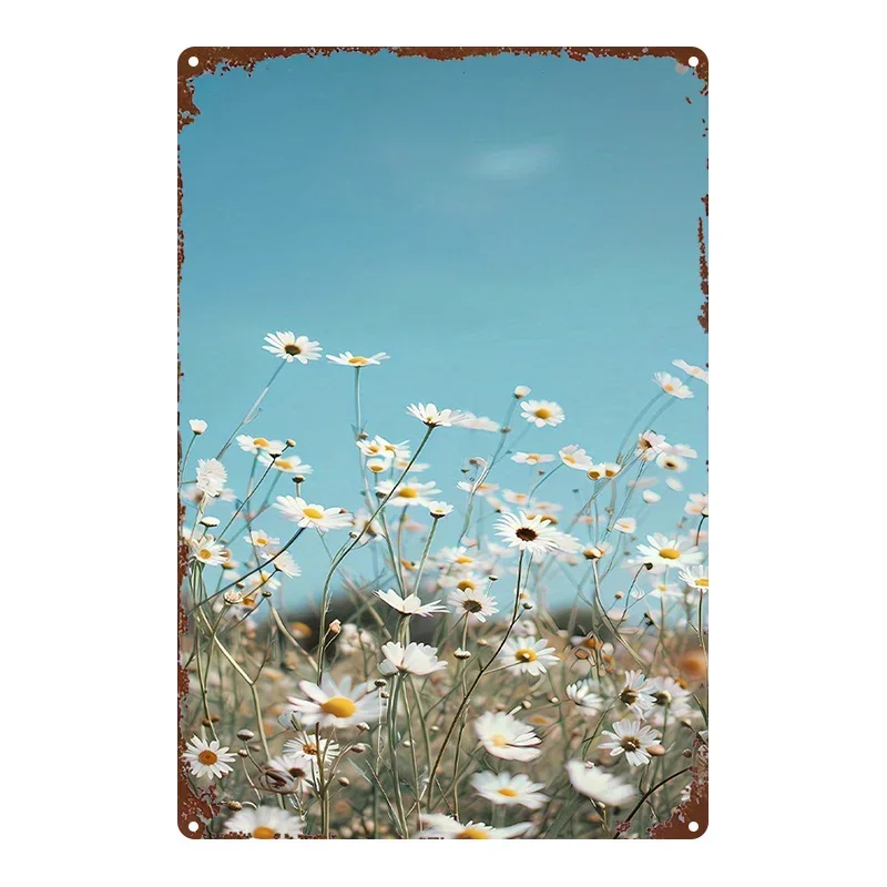（2D Tin painting）White Daisy Blue Sky Iron Metal Tin Sign 8x12inch Rustic Wall Decor Plaque for Bar Kitchen