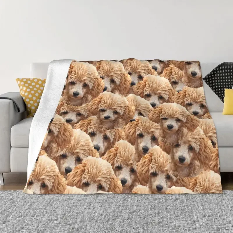 Cute Funny Brown Poodle Dog Blankets Fleece Printed Breathable Warm Throw Blankets for Bedding Car Bedspread