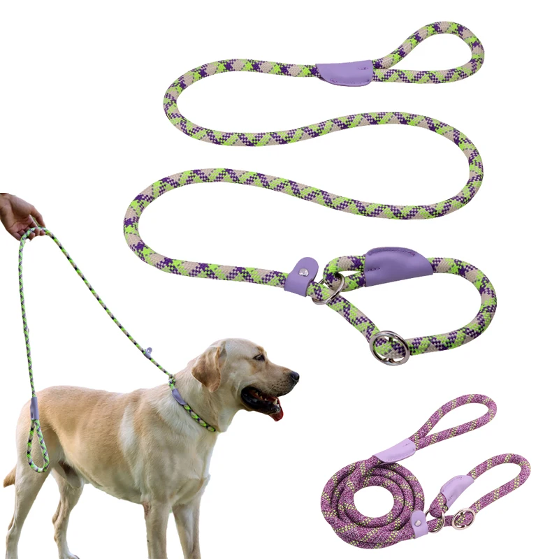 Durable Nylon Pet P Chain for Medium Large Dogs Slip Training Lead Puppy Big Dog Leash Collar Pug Traction Rope mascotas Leashes