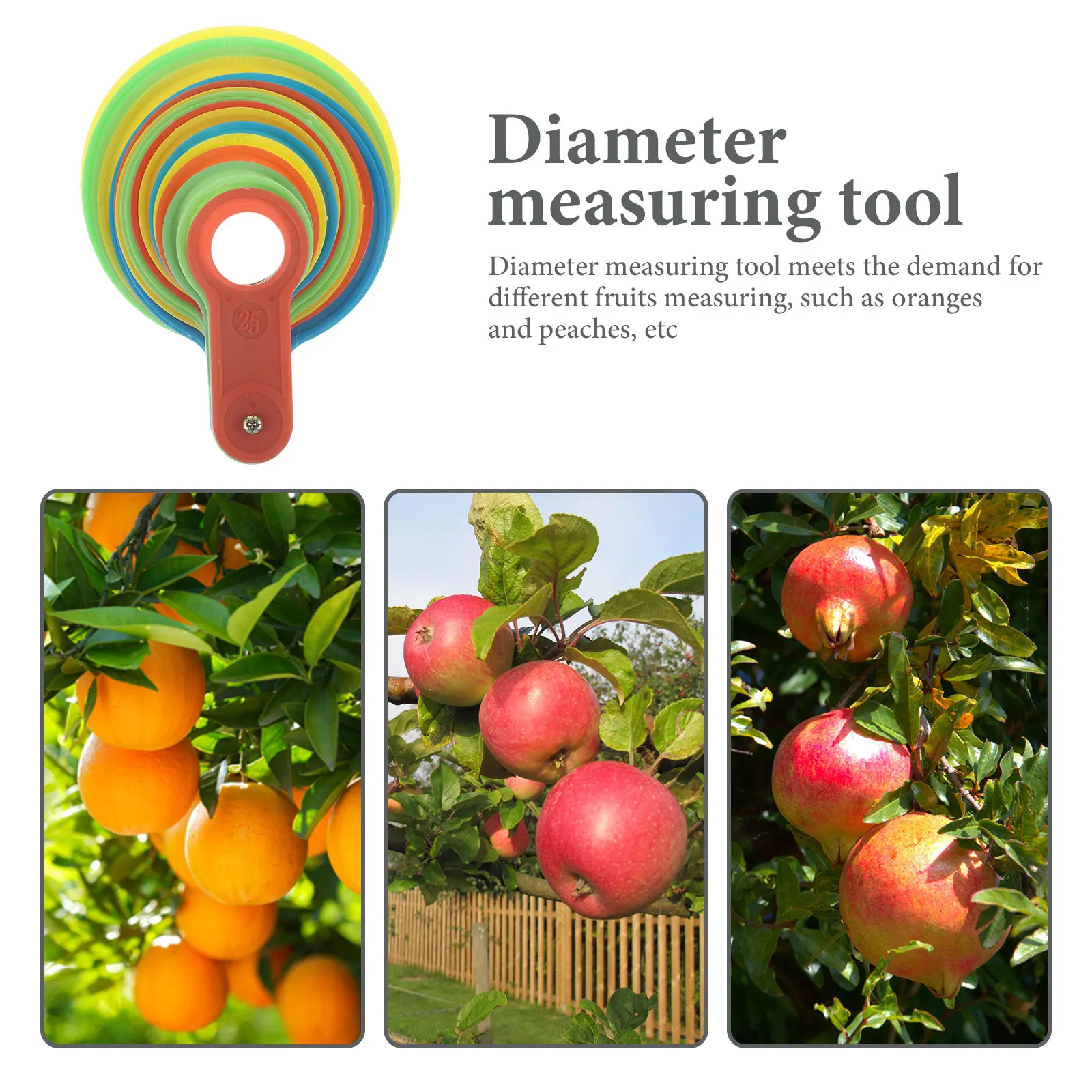 1Set Fruit Measurin…