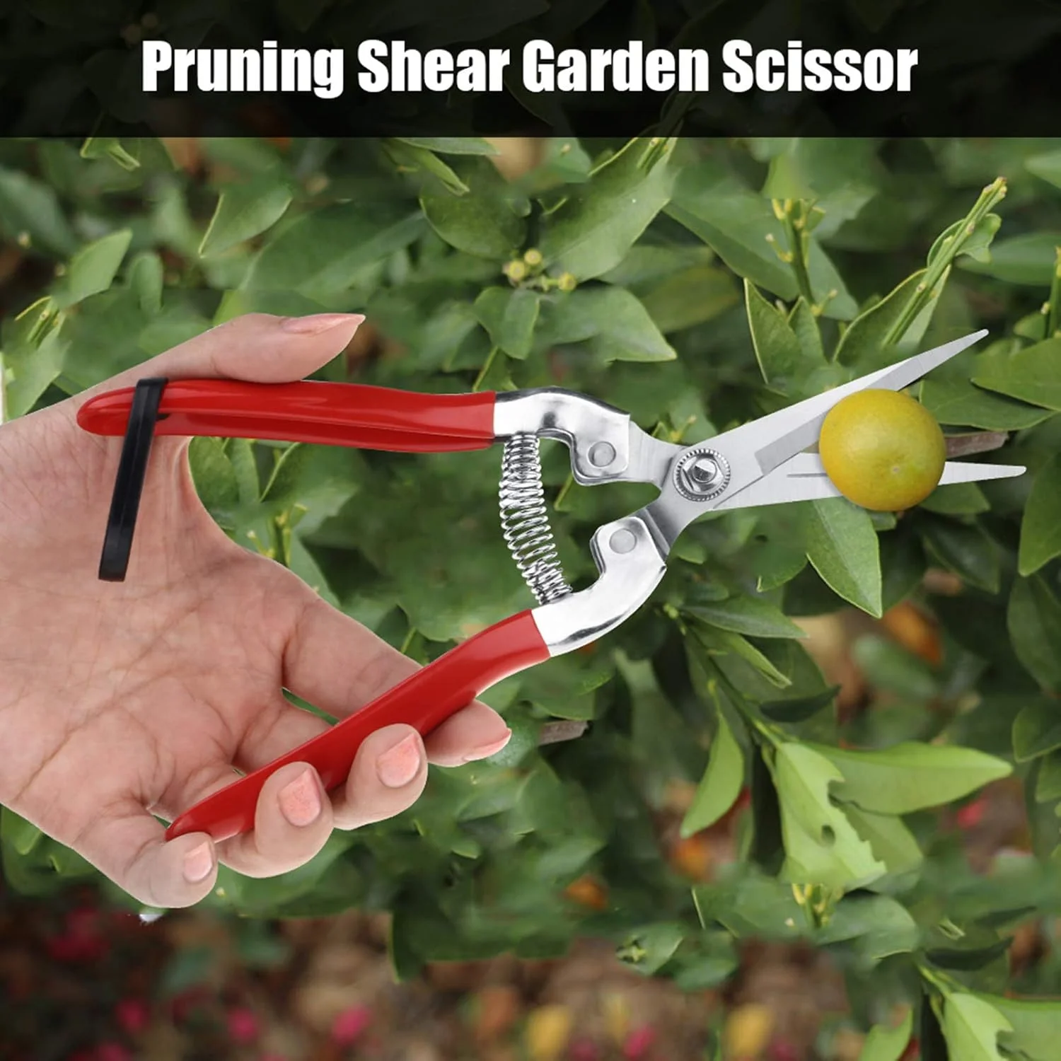 Pruner สแตนเลส,Classic Manual Hand Pruner ทนทานผลไม้ Professional กรรไกรตัดแต่งกิ่งทําสวนพร้อมที่จับกันลื่น