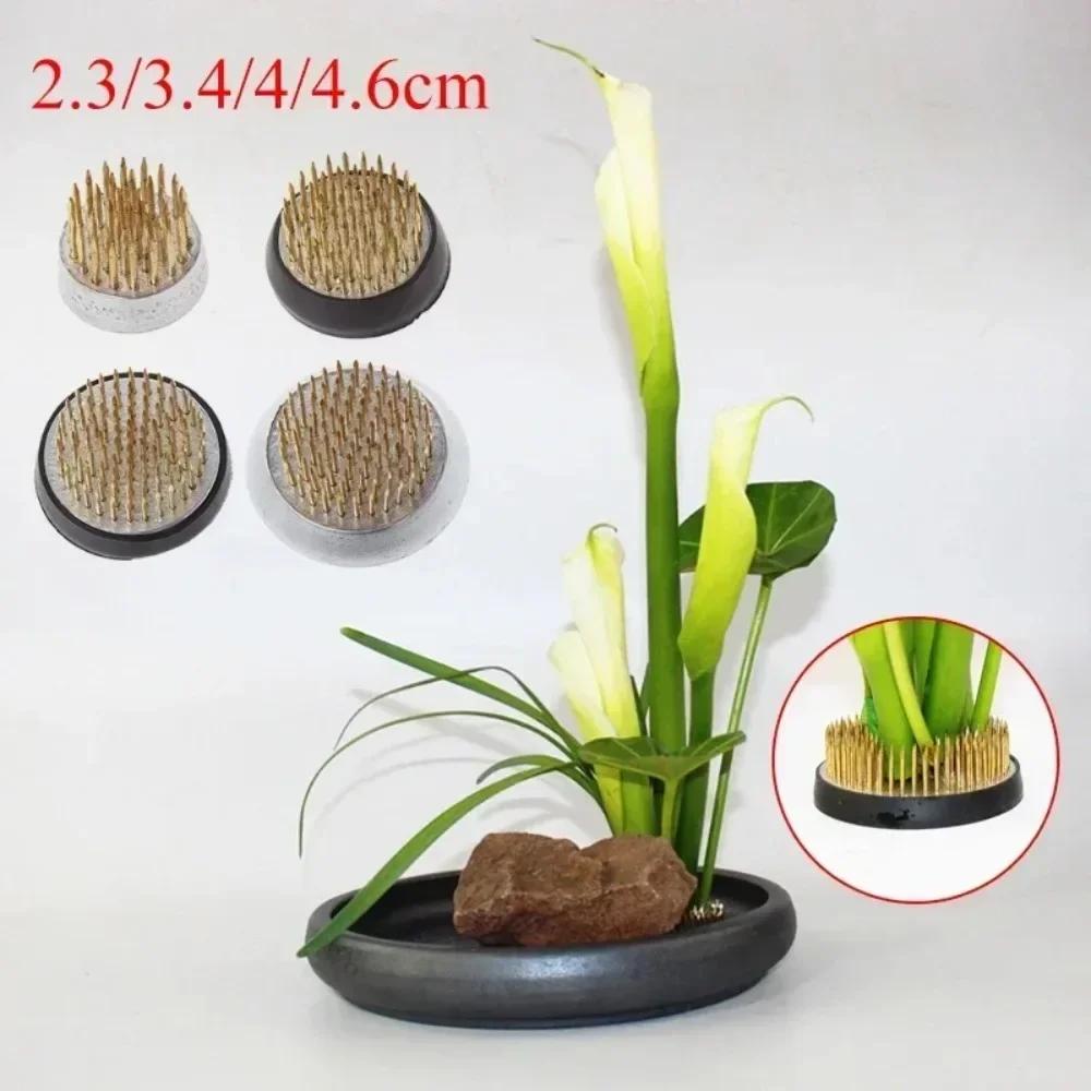 3 Sizes Spiky Needle Kenzan Art Fixed Tool Round Ikebana Holder Flower Frog Insert Base Pin Flower Base Home Decoration