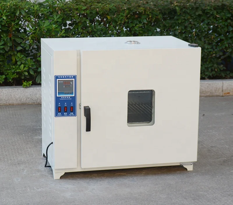 فرن تجفيف كهربائي 220 فولت مع محرك مكون أساسي للتدفئة في المختبر لمعالجة الأغذية